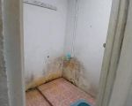 thumbnail-disewakan-rumah-siap-huni-dijakarta-timur-6
