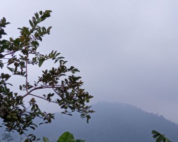 Jual rumah di jakarta Selatan