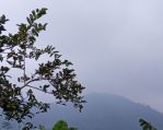 thumbnail-jual-rumah-di-jakarta-selatan-0